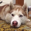 ���� ���������, ������, 35 ��� - ��������� 10 ������ 2014 � ������ ������ ��������