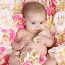 ���� �������, �����, 39 ��� - ��������� 8 ������ 2014 � ������ ������ ��������