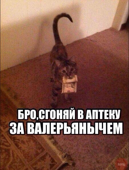    :-) - 16  2014  17:42