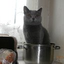 ������� �������. �� ������� ���� ����������