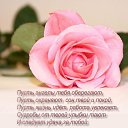 ���� ����, ���������, 67 ��� - ��������� 18 ������� 2014 � ������ �������