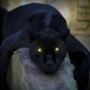 ���� �������, ���������� �����, 48 ��� - ��������� 10 ������� 2014 � ������ ������ ��������