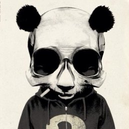 ������, ���������, 27 ���