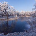 ���� �������, �����-���������, 80 ��� - ��������� 21 ������ 2014 � ������ ������ ��������
