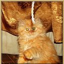 ���� �������, ���� - ��������� 23 ������� 2014 � ������ ���� ����� �����)))�