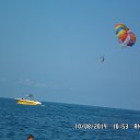  ., , 62  -  11  2014   