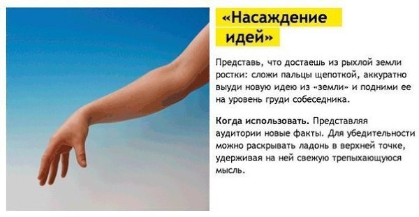 5 жестов для манипуляции собеседниками.Элис Мэй Уильямс и Ясмин Джонсон из лондонского Университета ... - 3