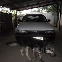 ���� ���, ����������, 73 ���� - ��������� 6 ������� 2014