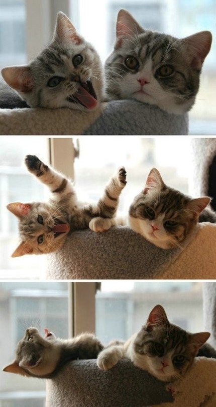       =)