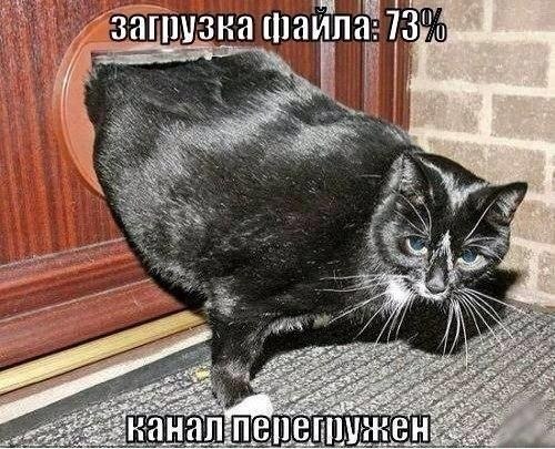     " "  -   : ...