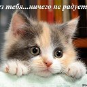 ���� �������, �����, 60 ��� - ��������� 3 ������� 2014 � ������ ������ ��������