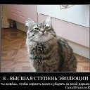 ���� ���, ������ - ��������� 24 ������� 2014 � ������ ��������