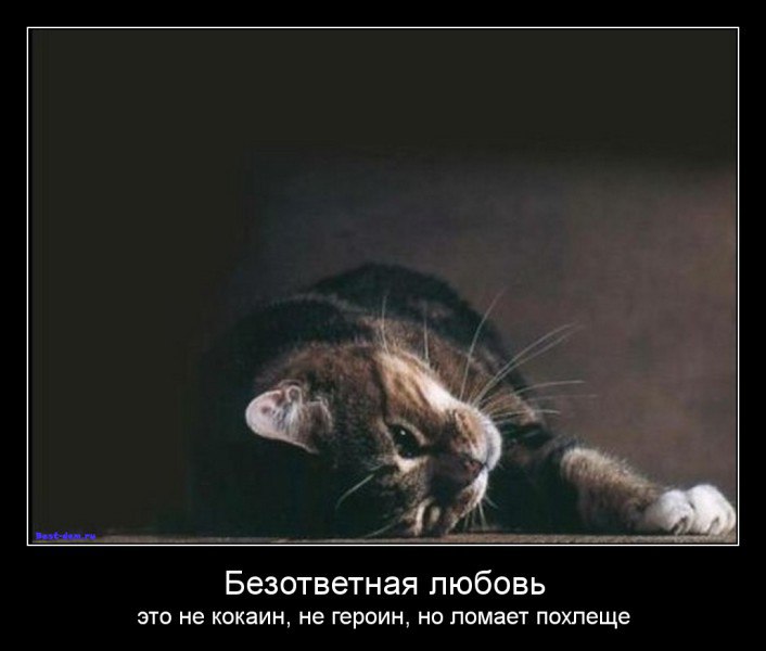   - 8  2014  16:19