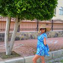 ���� �������, �������, 43 ���� - ��������� 23 �������� 2014 � ������ �������