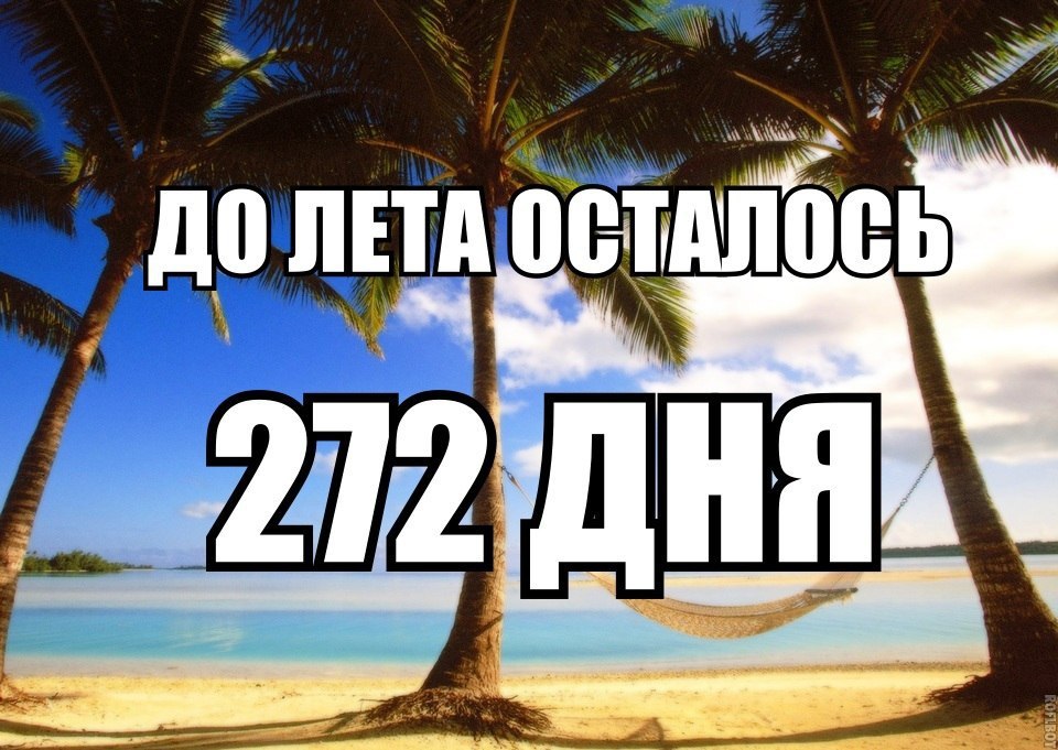  :3