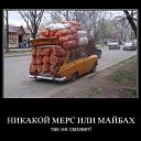 ���� �����, �����, 61 ��� - ��������� 2 �������� 2014 � ������ ������ ��������