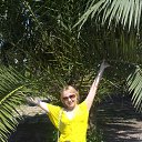 ���� ����, ������ - ��������� 1 �������� 2014 � ������ ������ ��������