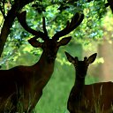 ���� Elmar, ����, 47 ��� - ��������� 15 ������ 2014 � ������ ���� ����������