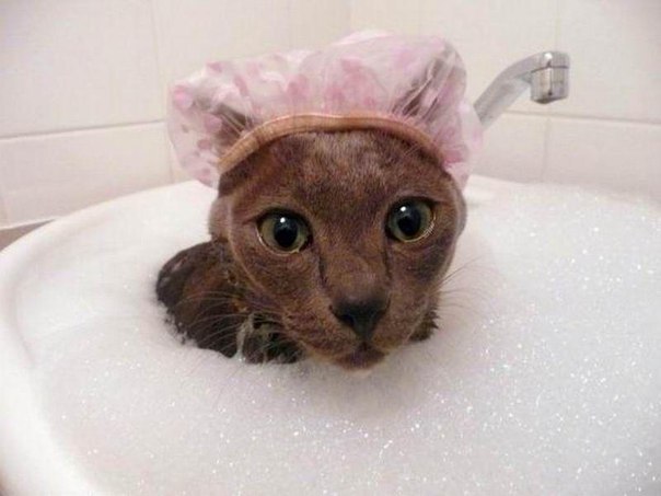   =)