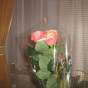 ���� ������, ������ - ��������� 20 ������� 2014 � ������ ���� ����������