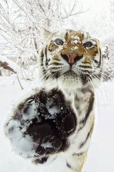Подписывайтесь на нас: http://fotostrana.ru/public/233467 ;-) Дай пять!