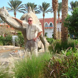 ������, ������, 50 ���