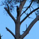 ���� �������, ������, 69 ��� - ��������� 6 ������� 2014