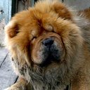 ���� ������, �������, 54 ���� - ��������� 21 ������� 2014 � ������ �������