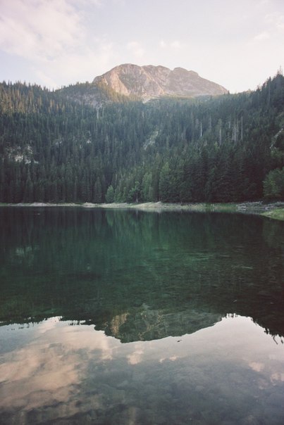   : <a href=