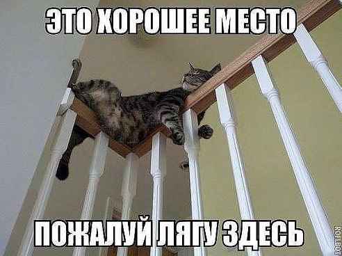      ! <a href=