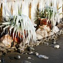 ���� Carcass, ������, 44 ���� - ��������� 11 ������� 2014 � ������ �violent frost�