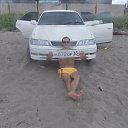 ���� ������, ����-���������, 43 ���� - ��������� 29 �������� 2014 � ������ ���� ����������