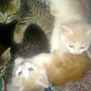 ���� ������, ������� ������, 64 ���� - ��������� 9 ������� 2014 � ������ ���� ����������