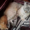 ���� ����, �����, 25 ��� - ��������� 5 ������� 2014 � ������ ���� ����������