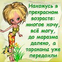 ���� �����, ���������� - ��������� 15 ������� 2014 � ������ ������ ��������