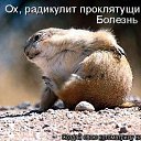 ���� ������, ���������, 56 ��� - ��������� 25 ������� 2014 � ������ ���� ����������