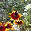  ,  -  26  2014        )))