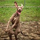 ���� ����������, ������, 49 ��� - ��������� 7 ������� 2014 � ������ ������ ��������