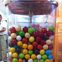 ���� �������, �������, 38 ��� - ��������� 8 �������� 2014 � ������ ������ ��������