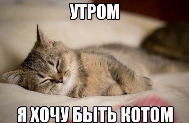       - 24  2014  23:03