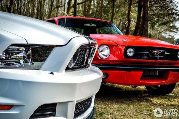 Ford Mustang Boss 302 and Mustang GT 1966. - 3
