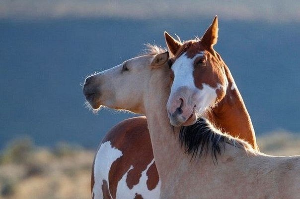     ^-^