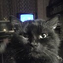 ���� ���������, ��������, 55 ��� - ��������� 26 ������� 2014 � ������ ���� ����������