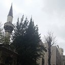 ���� �����, ������, 44 ���� - ��������� 4 ������� 2014 � ������ �������� 2014�.�
