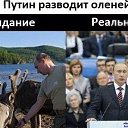 ���� �������, ���������� ����� - ��������� 7 ������� 2014 � ������ �������