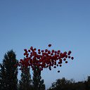  , , 64  -  21  2014     2014