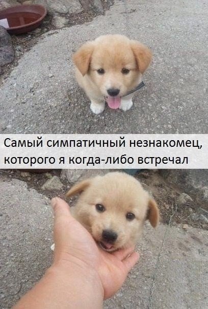    :D - 11  2014  16:20