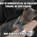 ���� �, �������, 59 ��� - ��������� 8 �������� 2014 � ������ ������ ��������