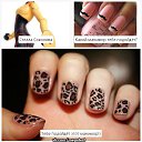 ���� �������, �����, 55 ��� - ��������� 16 ������ 2014 � ������ ������ ��������