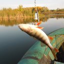 ���� ������, ������, 58 ��� - ��������� 17 ������� 2014 � ������ ��� ����ɻ